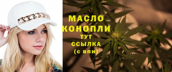 СК Алексин