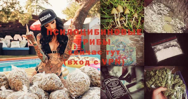 СК Алексин