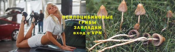 амф Алексеевка