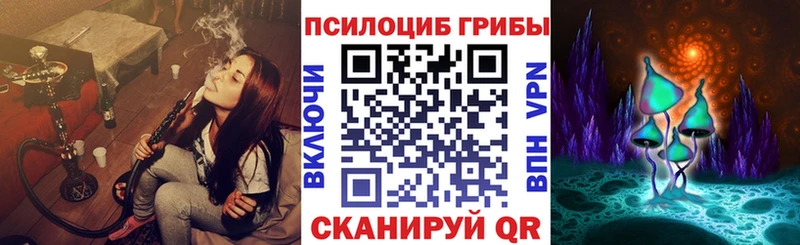 магазин продажи наркотиков Апатиты Галлюциногенные грибы Magic Shrooms