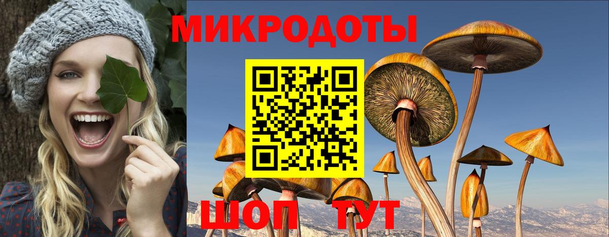 Псилоцибиновые грибы GOLDEN TEACHER  Вход с VPN  Апатиты 